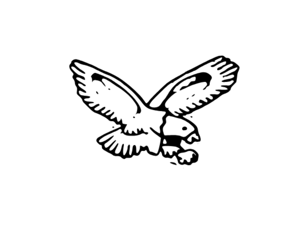 a.i.s.l. eagle drawing